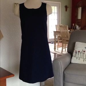 Beautiful Navy GAP dress.